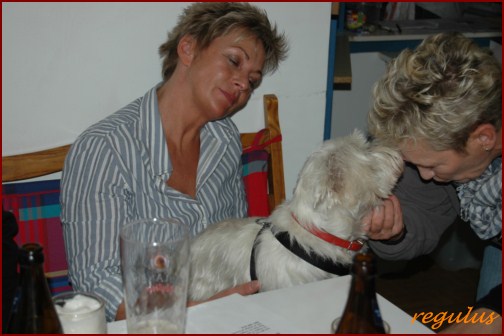 Nordseecup 2011
